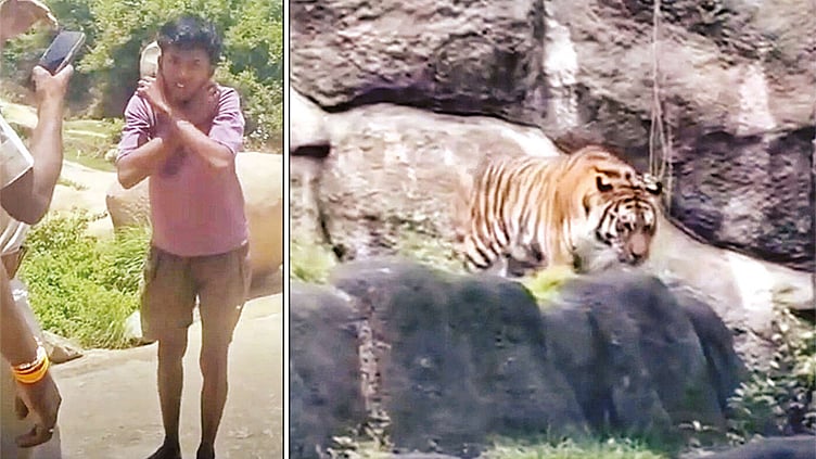 தோட்டத்தில் புலி உலா வருவதுபோல் ஏ.ஐ. வீடியோ வெளியீடு - வாலிபருக்கு நூதன தண்டனை