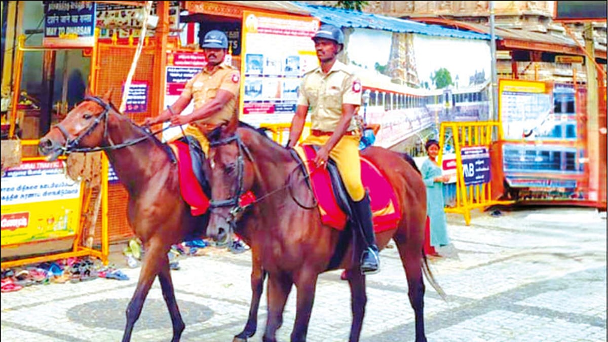 கும்பாபிஷேக விழா: மதுரை மீனாட்சி அம்மன் கோவில் பாதுகாப்பில் குதிரைப்படை போலீஸ்