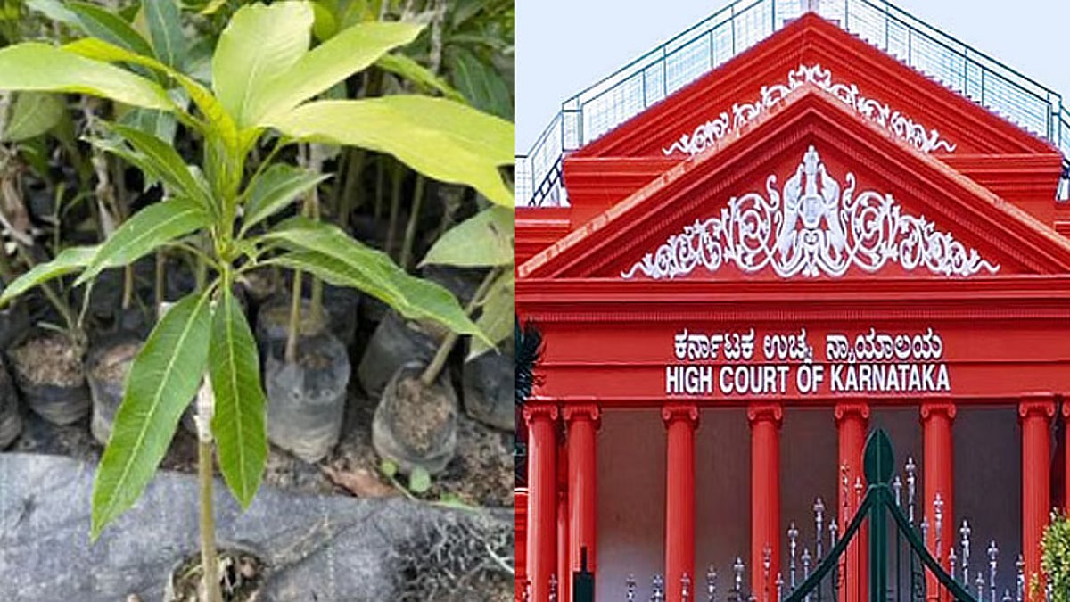 நீதிபதியை மிரட்டிய வக்கீலுக்கு 1,000 மரக்கன்றுகள் நட உத்தரவு