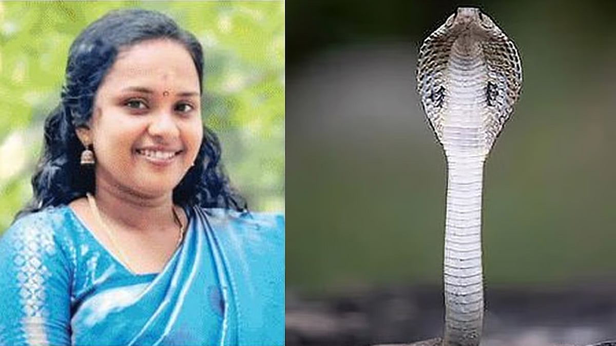கேரளம்: கேஸ் சிலிண்டரில் பதுங்கியிருந்த பாம்பு கடித்து இளம்பெண் உயிரிழப்பு