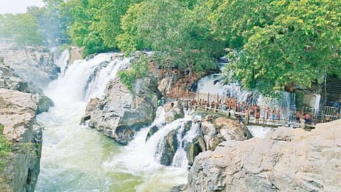 ஒகேனக்கல்
