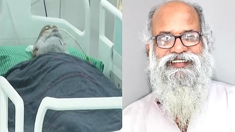 பேபி ஜான்