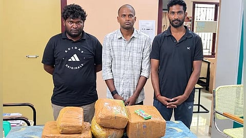14 கிலோ கஞ்சா பறிமுதல்: 3 வாலிபர்கள் கைது.