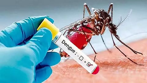 டெங்கு காய்ச்சல் பாதிப்பு: பொதுமக்கள் அச்சப்படத் தேவையில்லை- தமிழக அரசு தகவல்