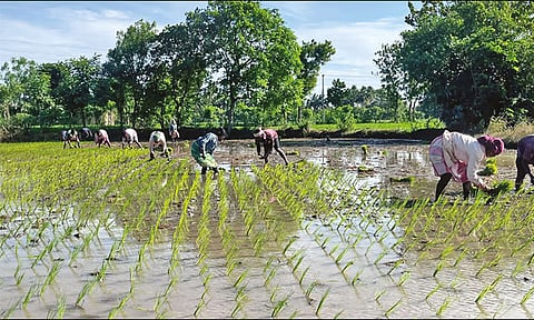 கோப்புப்படம்