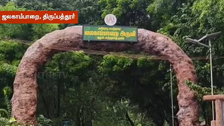 திருப்பத்தூரில் கனமழை: ஜலகம்பாறை நீர்வீழ்ச்சியில் ஆர்ப்பரித்து கொட்டும் தண்ணீர்