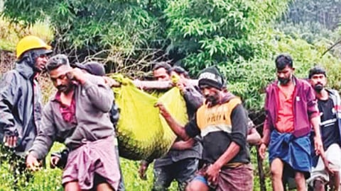 கேரள நிலச்சரிவில் சிக்கி சென்னை பெண் உள்பட 3 பேர் உயிரிழப்பு