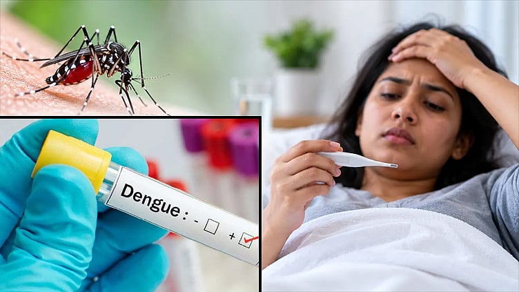 தமிழகத்தில் டெங்குவால் தினமும் 200-க்கும் மேற்பட்டோர் பாதிப்பு