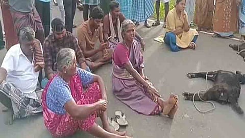 ஈரோடு அருகே சிறுத்தை கடித்து 3 ஆடுகள் பலி.