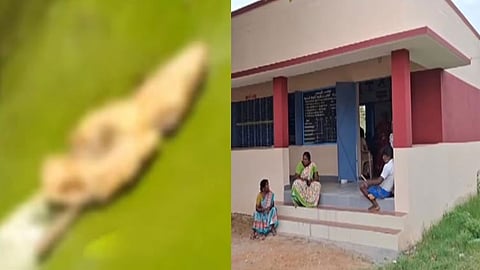 அரசுப் பள்ளி காலை உணவில் இறந்த பல்லி...சாப்பிட்ட 11 பேர் மருத்துவமனையில் அனுமதி