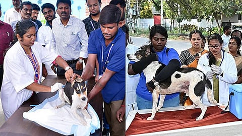 கோப்புப்படம்