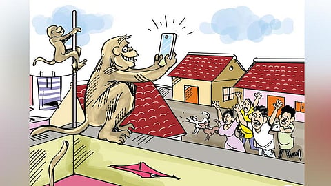 திருவள்ளூரில் ருசிகரம்: வீட்டுக்குள் புகுந்து வியாபாரியிடம் செல்போனை பறித்துச்சென்ற குரங்கு