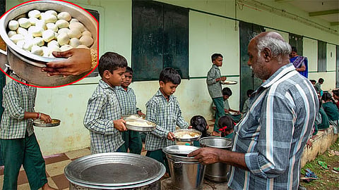 முட்டைகள் திடீர் நிறுத்தம்