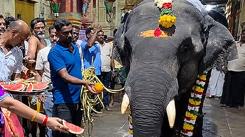 ராமேஸ்வரம் கோவிலுக்கு புதிய யானை: அசாமில் இருந்து வரவழைப்பு