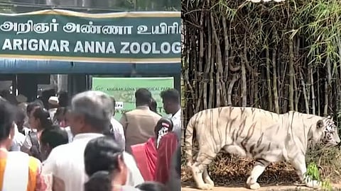பள்ளிகளுக்கு காலாண்டு விடுமுறை: வண்டலூர் பூங்காவில் அலைமோதிய மக்கள் கூட்டம்