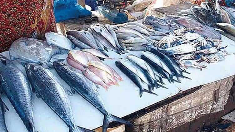 காசிமேடு சந்தையில் மீன்களின் விலை குறைந்தது