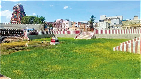 புல்வெளியாக மாறிய திருப்பரங்குன்றம் கோவில் தீர்த்த குளம்: பராமரிக்க பக்தர்கள் கோரிக்கை