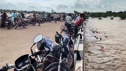 வைரலான வீடியோ
