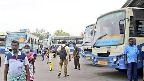 சிறப்பு பேருந்துகள்