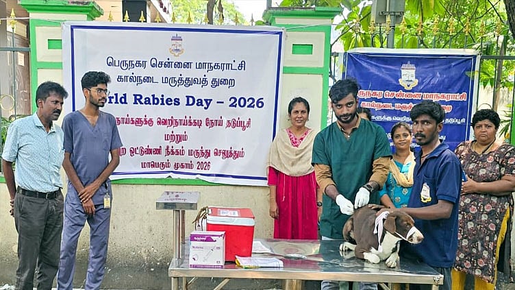 சென்னையில் ஒரே நாளில் 2,623 நாய்களுக்கு ரேபிஸ் தடுப்பூசி - மாநகராட்சி தகவல்