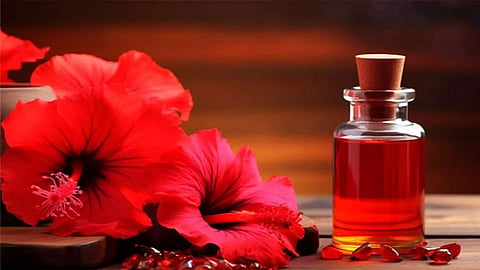 முடி உதிர்வு, பொடுகு, நுனிப்பிளவு... செம்பருத்தி தரும் இயற்கை நன்மைகள்!
