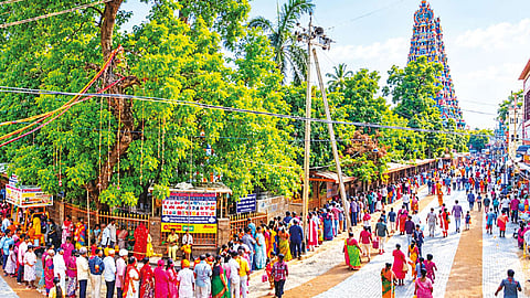 மண்டல பூஜை நிறைவு: மீனாட்சி அம்மன் கோவிலில் ஒரே நாளில் 1 லட்சம் பேர் தரிசனம் - சன்னதி அடைக்காமல் பக்தர்களுக்கு அனுமதி