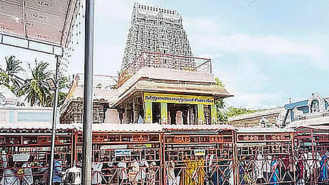 தொடர் விடுமுறையையொட்டி திருவண்ணாமலையில் குவிந்த பக்தர்கள்: 4 மணி நேரம் காத்திருந்து சாமி தரிசனம் 