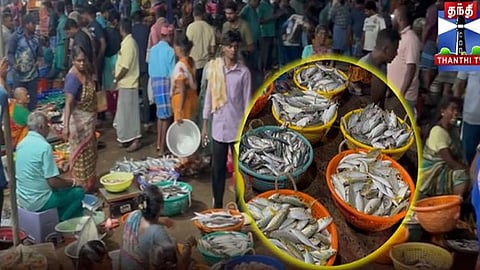 மீன் வாங்க குவிந்த மக்கள்... அதிகாலையிலேயே களைகட்டிய கடலூர் துறைமுகம்