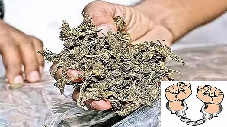 சென்னை விமான நிலையத்தில் ரூ.5.26 கோடி மதிப்பிலான கஞ்சா பறிமுதல்..!