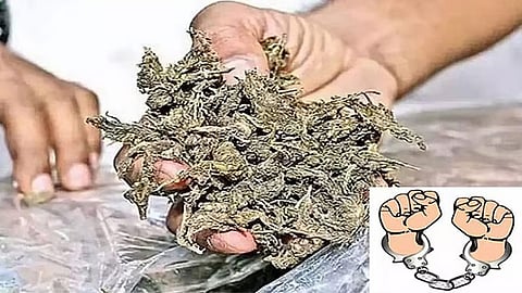 கஞ்சா பறிமுதல்