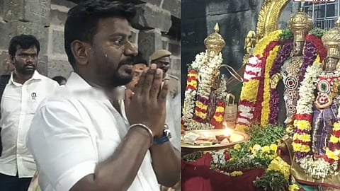 திருமலை வையாவூர் பெருமாள் கோவிலில் அமைச்சர் ராஜ்மோகன் சாமி தரிசனம்


