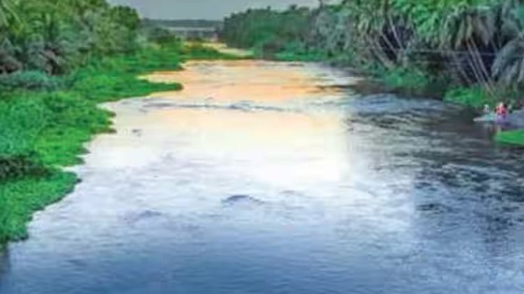 ஆனைமலையாறு - நல்லாறு பாசன திட்டம்: நாளை கேரளா செல்கிறது தமிழக அமைச்சர்கள் குழு