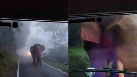 கோவை வால்பாறையில் காரை வழிமறித்து அச்சுறுத்திய காட்டு யானை.