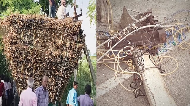 கள்ளக்குறிச்சி அருகே டிராக்டர் உரசியதில் மின்கம்பங்கள் சேதம்
