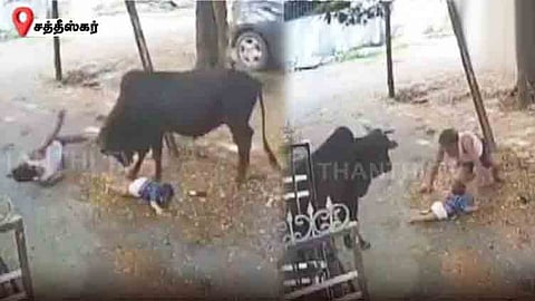 பேரக்குழந்தையை கையில் ஏந்தியிருந்த முதியவரை விரட்டி விரட்டி தாக்கிய காளை