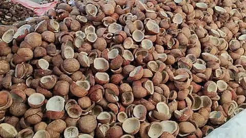 கொப்பரை தேங்காய் விலை உயராததால் தென்னை விவசாயிகள் கவலை
