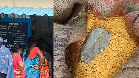 பருப்பில் கல்