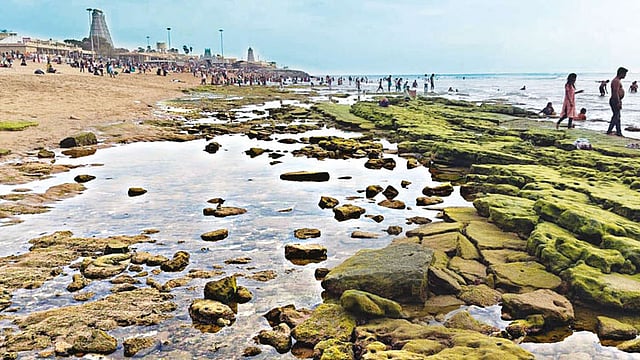திருச்செந்தூரில் திடீரென உள்வாங்கிய கடல்