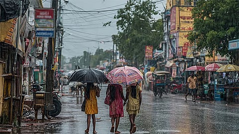 தமிழகத்தின் 14 மாவட்டங்களில் இன்று மழைக்கு வாய்ப்பு -  வானிலை மையம் தகவல்