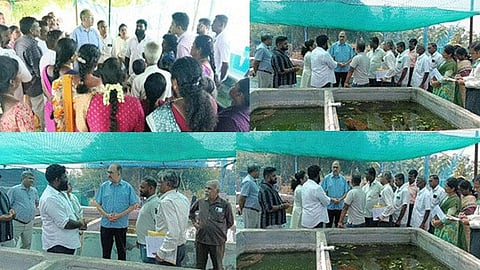 மதுரையில் அலங்கார மீன்வளர்ப்பு பண்ணைகளை மத்திய செயலாளர் நேரில் ஆய்வு