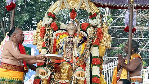திருப்பதி பிரம்மோற்சவம், அனுமந்த வாகனத்தில் மலையப்ப சுவாமி எழுந்தருளி மாட வீதிகளில் வலம் வந்து பக்தர்களுக்கு அருள்பாலித்தார். 