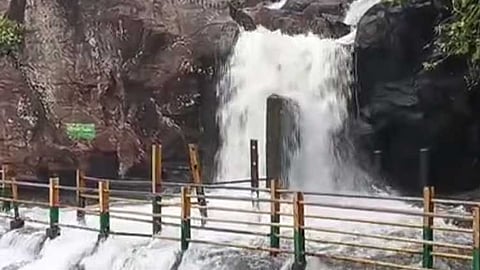 மணிமுத்தாறு அருவியில் வெள்ளப்பெருக்கு 