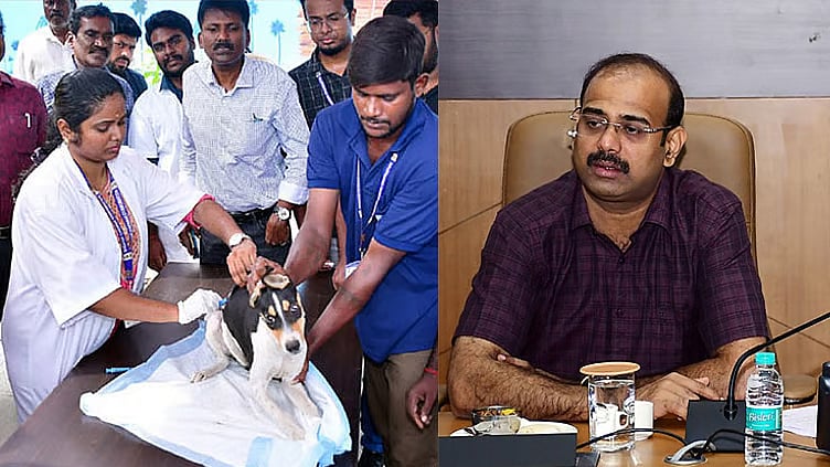 சென்னையில் 1.50 லட்சம் தெருநாய்களுக்கு ரேபிஸ் தடுப்பூசி: மாநகராட்சி ஆணையர் தகவல்