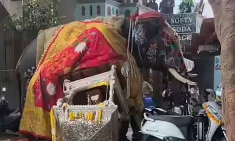 யானை மிரண்டு ஓடியது