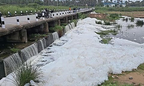 ஆம்பூர் அருகே பாலாற்றில் மீண்டும் பொங்கி வழியும் ரசாயன நுரை!