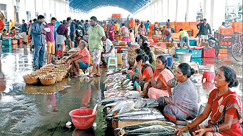 ஐப்பசி பவுர்ணமியையொட்டி விற்பனை மந்தம் - காசிமேட்டில் மீன்கள் விலை உயர்வு