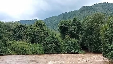 நீலகிரி: மாயாற்றில் காட்டாற்று வெள்ளம் - தெங்குமரஹடா மலைக்கிராமத்தில் போக்குவரத்து துண்டிப்பு 