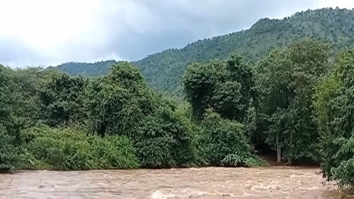 நீலகிரி: மாயாற்றில் காட்டாற்று வெள்ளம் - தெங்குமரஹடா மலைக்கிராமத்தில் போக்குவரத்து துண்டிப்பு