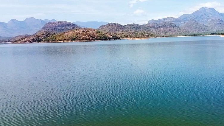 தொடர் மழை: அமராவதி அணையின் நீர்மட்டம் ஒரே நாளில் 5 அடியாக உயர்வு