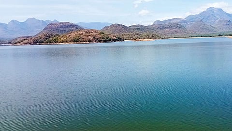 தொடர் மழை: அமராவதி அணையின் நீர்மட்டம் ஒரே நாளில் 5 அடியாக உயர்வு